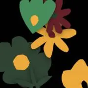 ハレノヒの画像