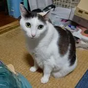 noon1004の画像