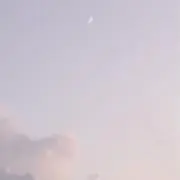 nの画像
