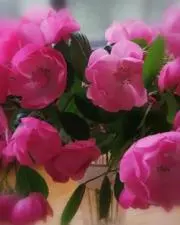 tamama