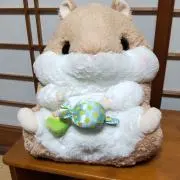 ひのみの画像