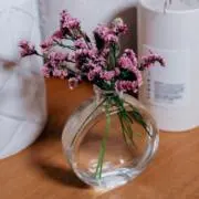 sakura selectの画像