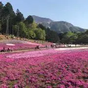 Sheide88の画像