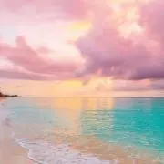 umi    【プロフィール必読】の画像