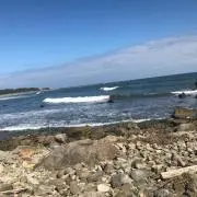 さざなみの画像