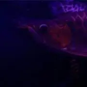 ひーろーの画像