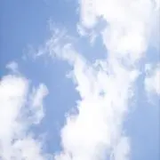 ぴぴの画像