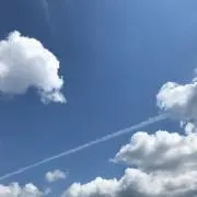 とうふ