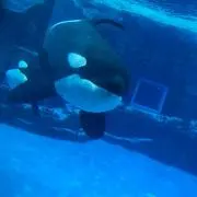 むとむと