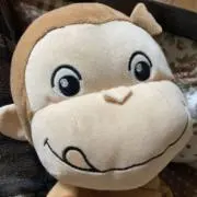 ぷちの画像