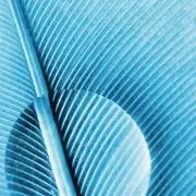 Z/X/ゼクス E48 SEC 爆憐の流星 Type.I“A-Z” シク - メルカリ