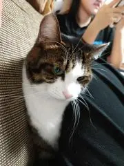 かみのの画像