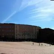 yoshinoの画像