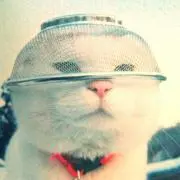 あるま君☆の画像