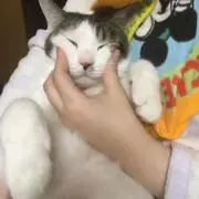 フ〜♪