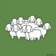 maamaaの画像