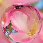 ありがとう♡の画像
