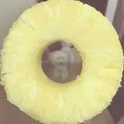 ΔS°