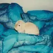めるの画像