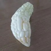 ゴーヤ
