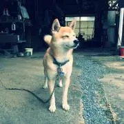 もっちゃん
