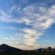 mioの画像