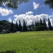 Aloha ⭐︎翌日発送。即日発送も対応の画像