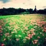 kotokの画像