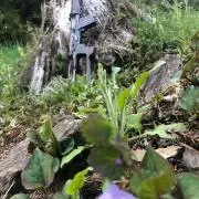 つきおの画像
