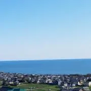 ワッフルの画像