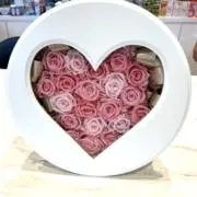 シュガーの画像