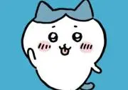 ハチワレの画像