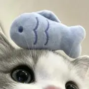 Rinnの画像