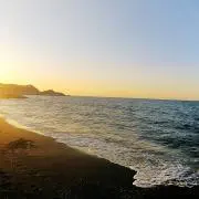 プーの画像