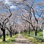 n【まとめ買いでお値引きします♫】の画像