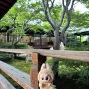 いちごの画像