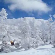 雪の画像