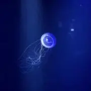 mの画像