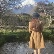 ベヤの画像