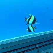 断捨離中の画像