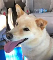 tmスカイ