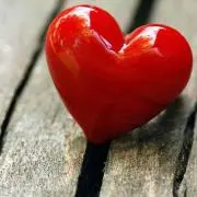 gfnnr815