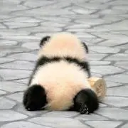 あさか