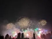 アリの画像