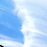 あおしろの画像