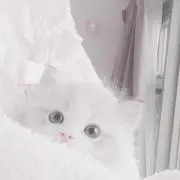 み 。