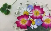 キミキミの画像