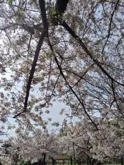 切り抜き〚大量〛上戸彩 、ファイル、冊子、ポスター グラビア写真