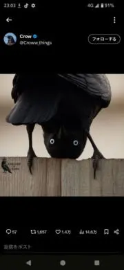 いちびーりの画像
