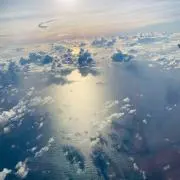 かめの画像